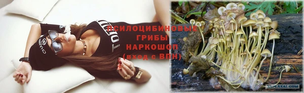 ПСИЛОЦИБИНОВЫЕ ГРИБЫ Алзамай