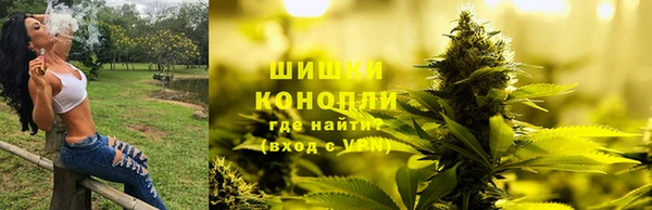 ПСИЛОЦИБИНОВЫЕ ГРИБЫ Алзамай