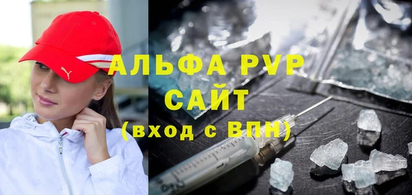 индика Алексин
